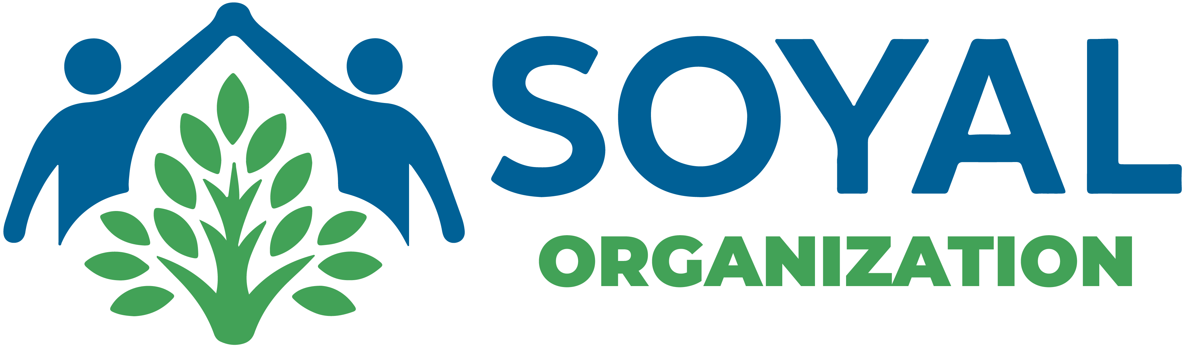 Soyal Organization